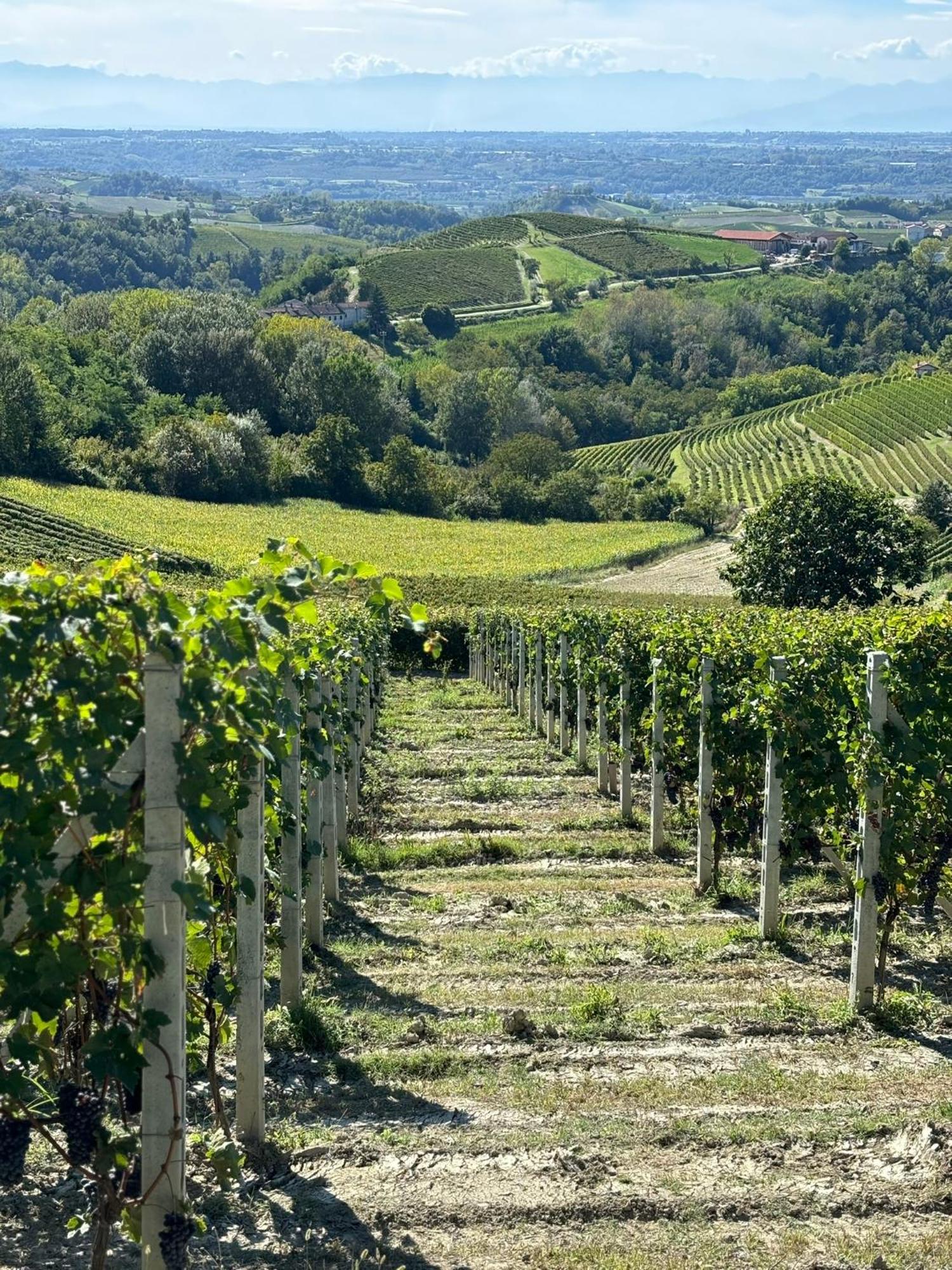 Appartamento "La Poesia Della Terra" Monforte D'Alba Exterior photo